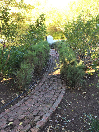 Kapteinskloof Guest House Piketberg Western Cape South Africa Plant, Nature, Tree, Wood, Garden