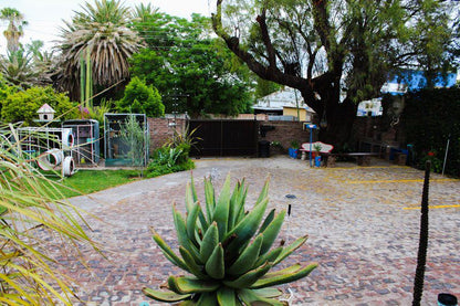 Karee Guesthouse Hopetown Northern Cape South Africa Palm Tree, Plant, Nature, Wood, Garden