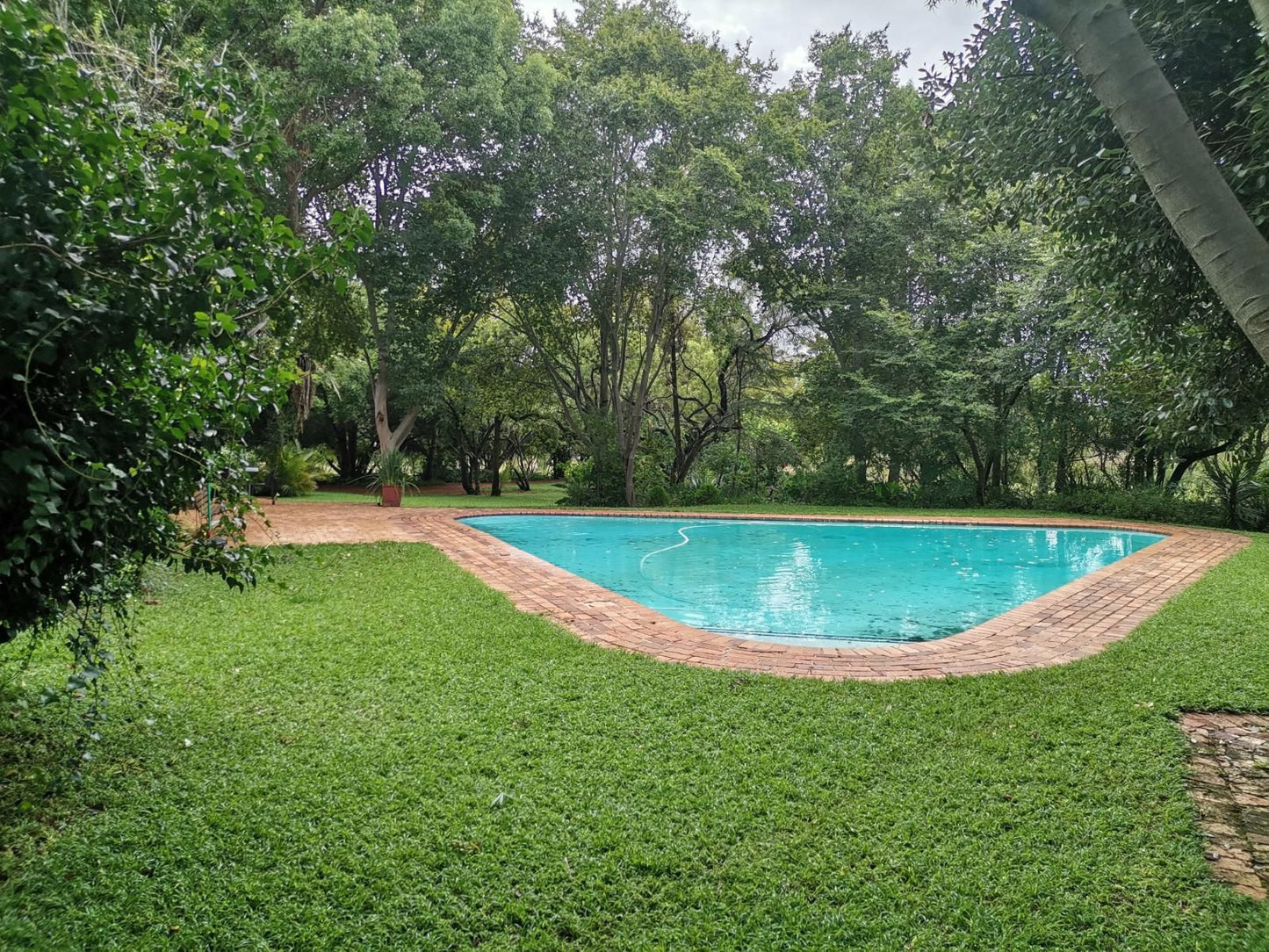 Karee Laagte Roodeplaat Pretoria Tshwane Gauteng South Africa Garden, Nature, Plant, Swimming Pool