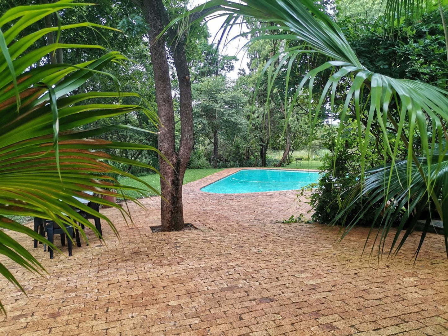Karee Laagte Roodeplaat Pretoria Tshwane Gauteng South Africa Palm Tree, Plant, Nature, Wood, Garden, Swimming Pool