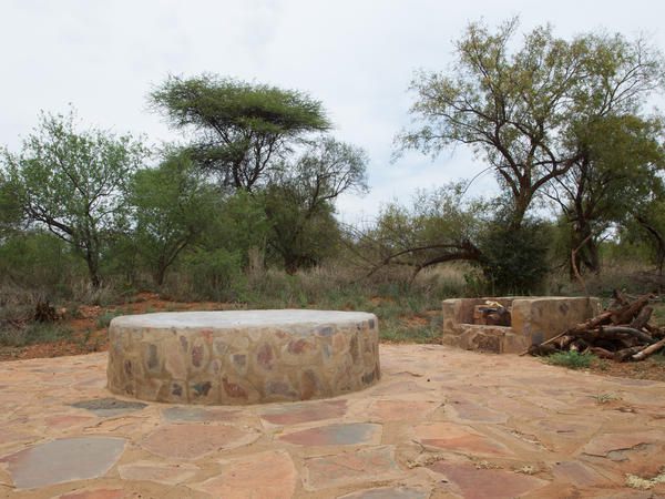 Kareespruit Game Lodge Zeerust North West Province South Africa Cactus, Plant, Nature, Desert, Sand