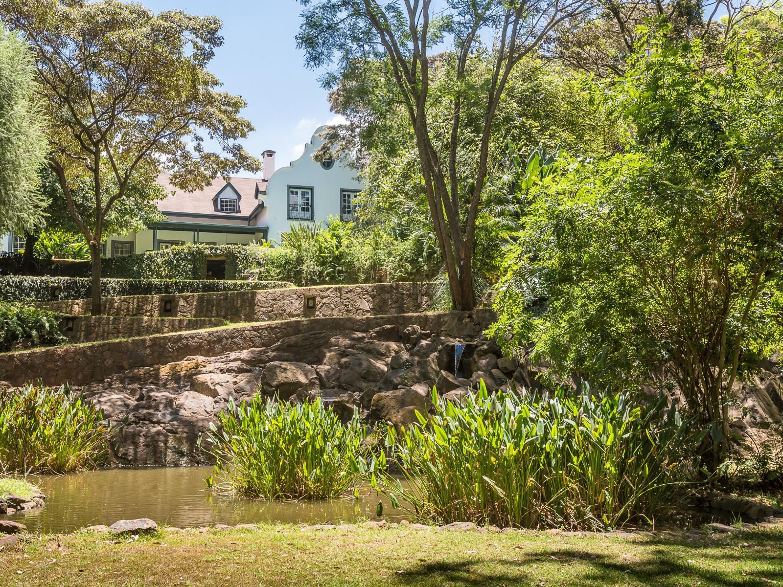 Karen Gables, River, Nature, Waters, Garden, Plant