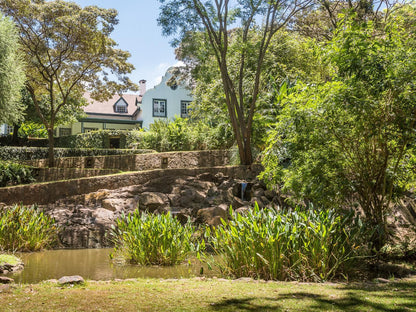 Karen Gables, River, Nature, Waters, Garden, Plant