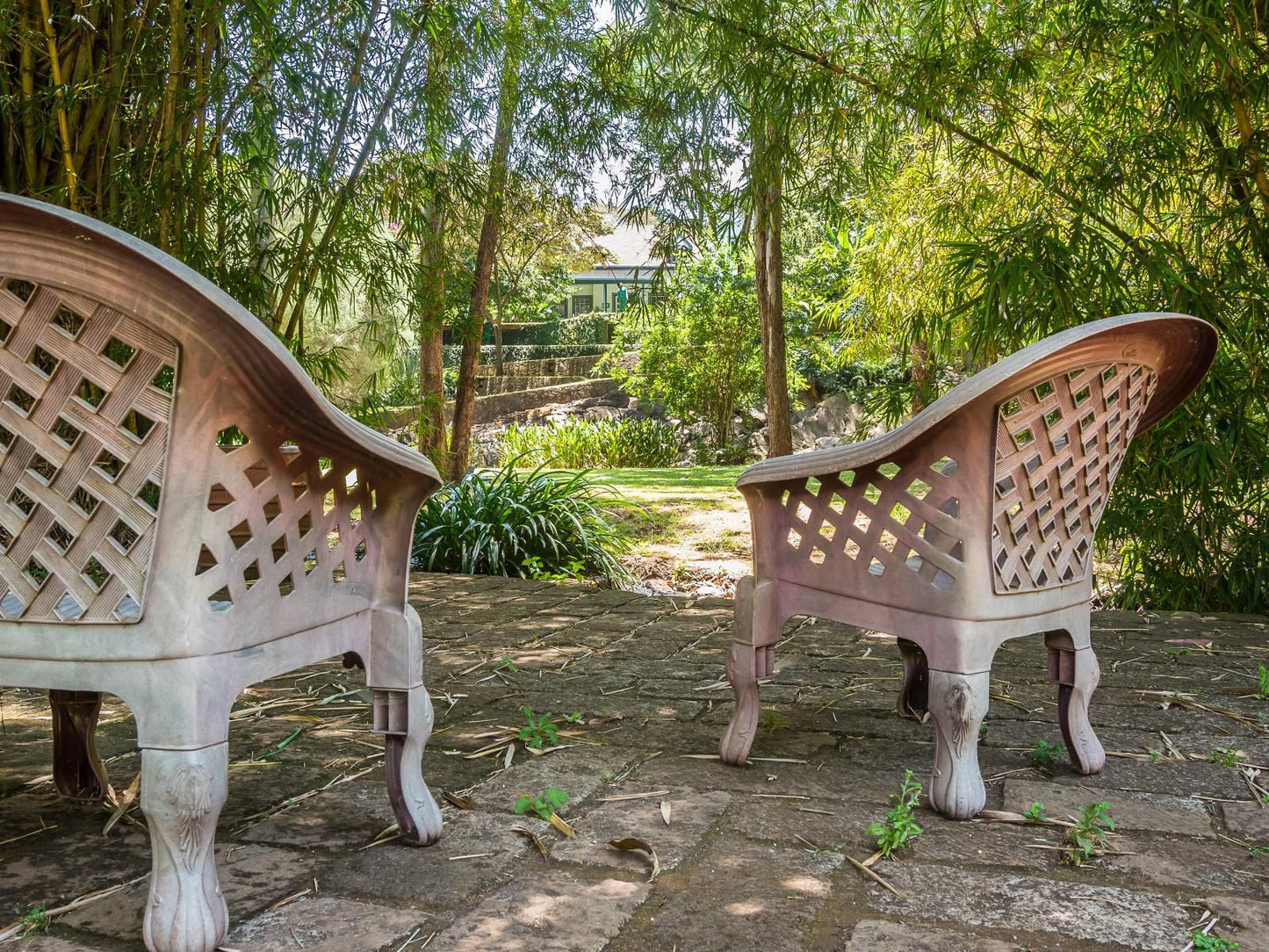 Karen Gables, Garden, Nature, Plant