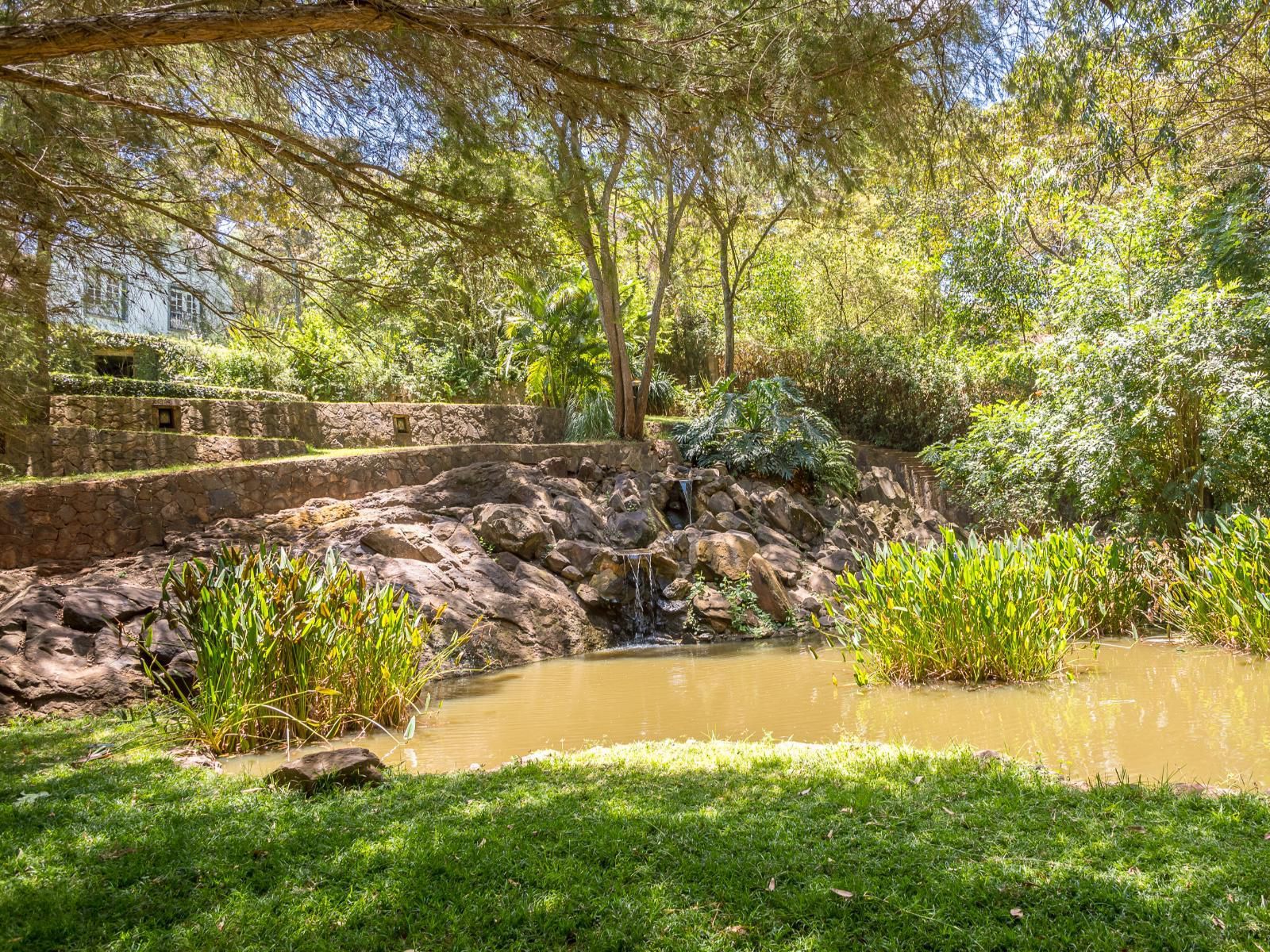 Karen Gables, River, Nature, Waters, Garden, Plant