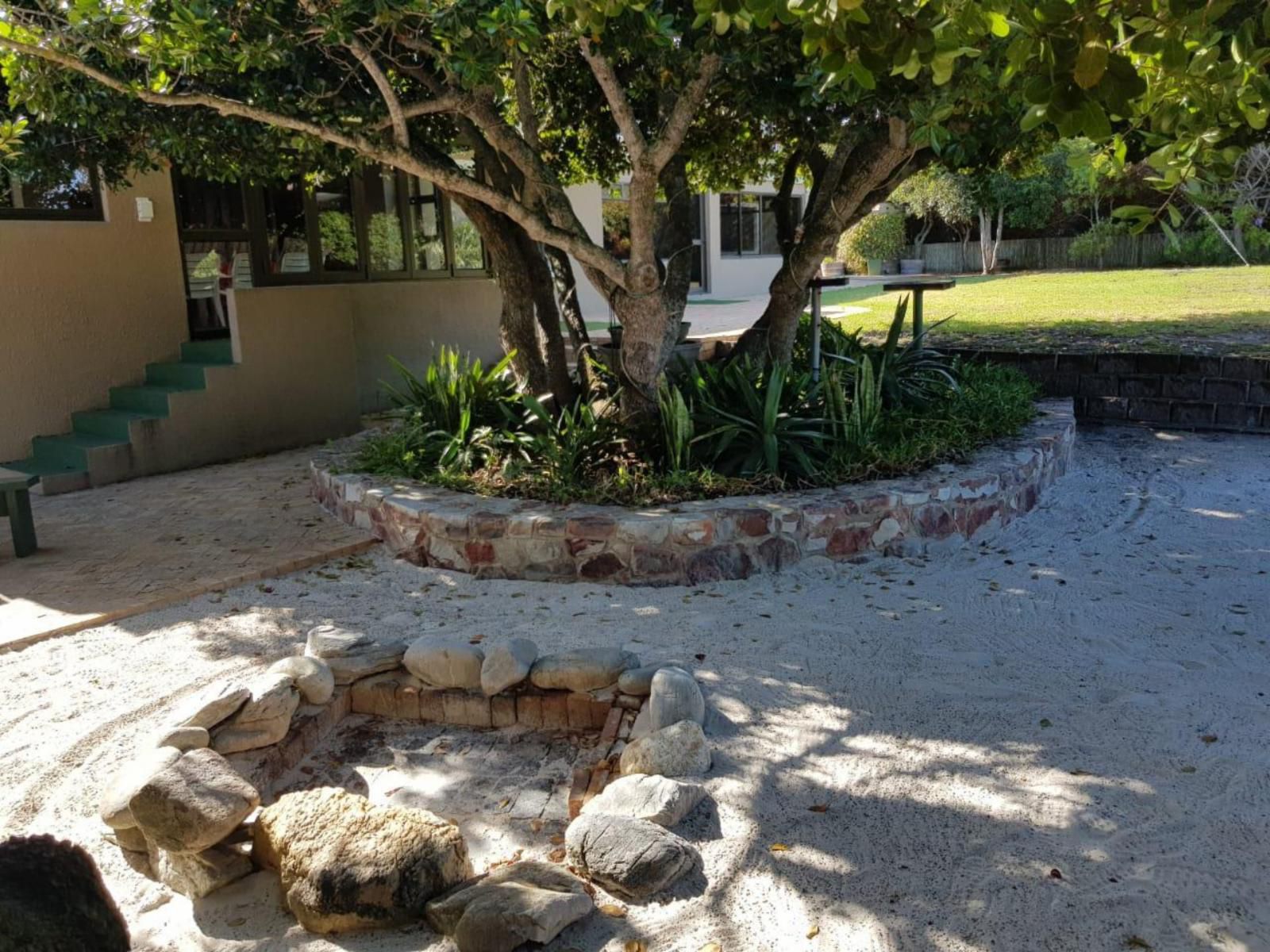 Karibu Self Catering Accommodation Vermont Za Hermanus Western Cape South Africa Palm Tree, Plant, Nature, Wood, Reptile, Animal, Garden