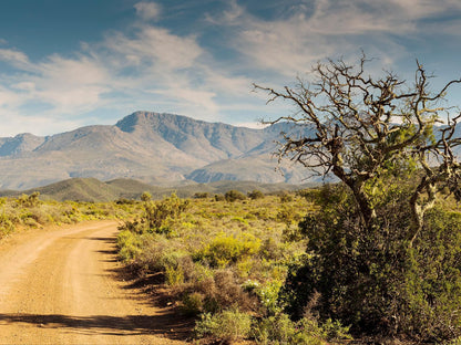 Karoo 62 Escape, Desert, Nature, Sand