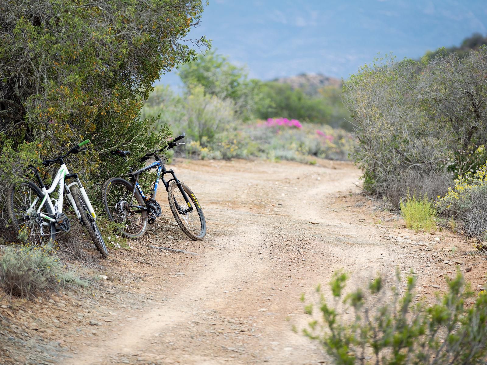 Karoo 62 Escape, Bicycle, Vehicle, Cycling, Sport, Mountain Bike, Funsport