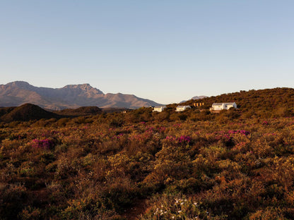 Karoo 62 Escape, Nature