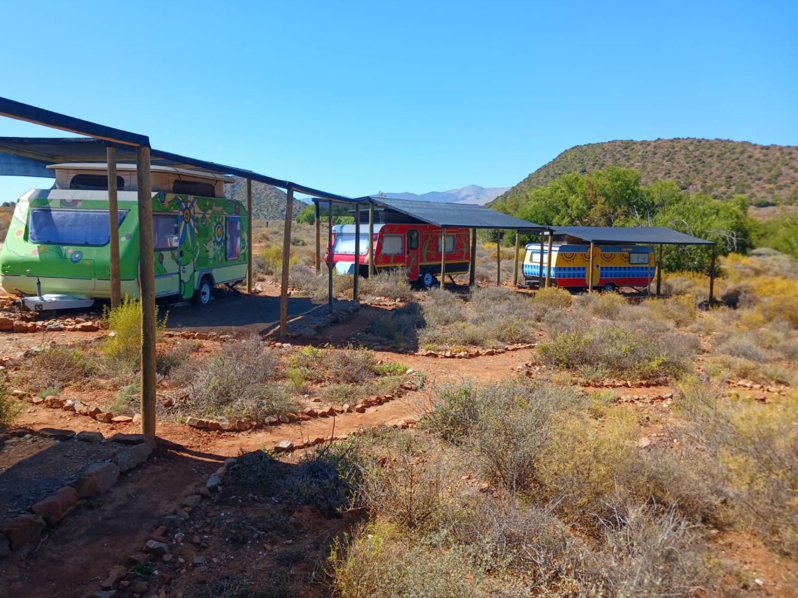 Karoo 62 Escape, Luxury Bush Lodge, Train, Vehicle, Cactus, Plant, Nature