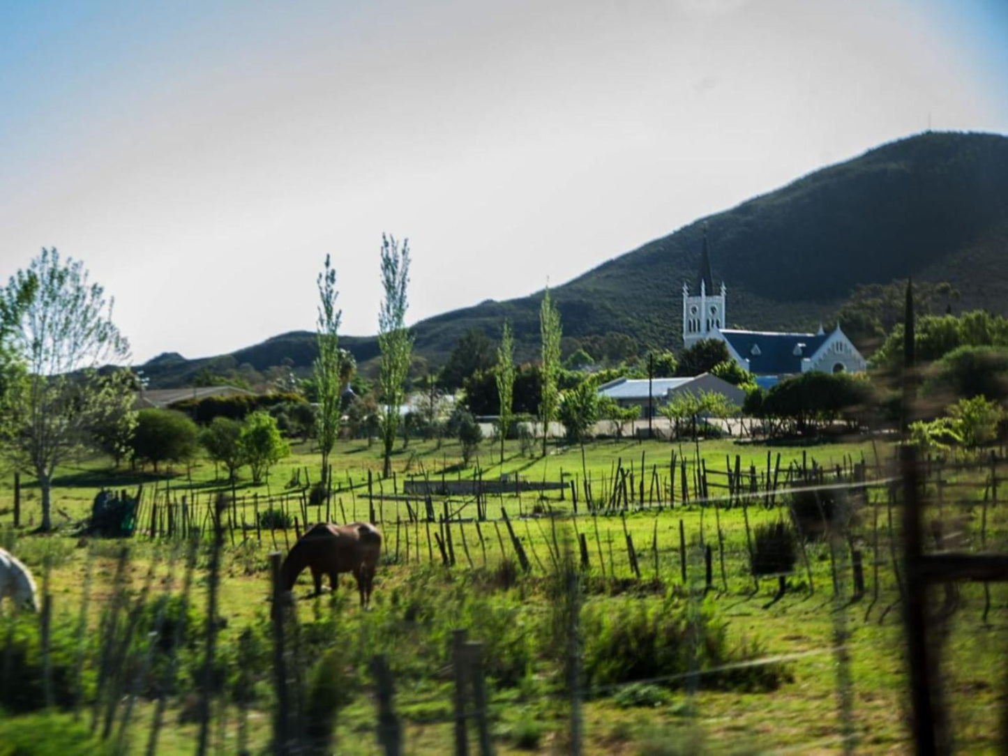 Karoo Art Hotel Barrydale Western Cape South Africa Field, Nature, Agriculture, Highland