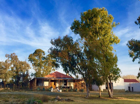 Karoo Cottage Sneeuberg Eastern Cape South Africa Complementary Colors, Tree, Plant, Nature, Wood