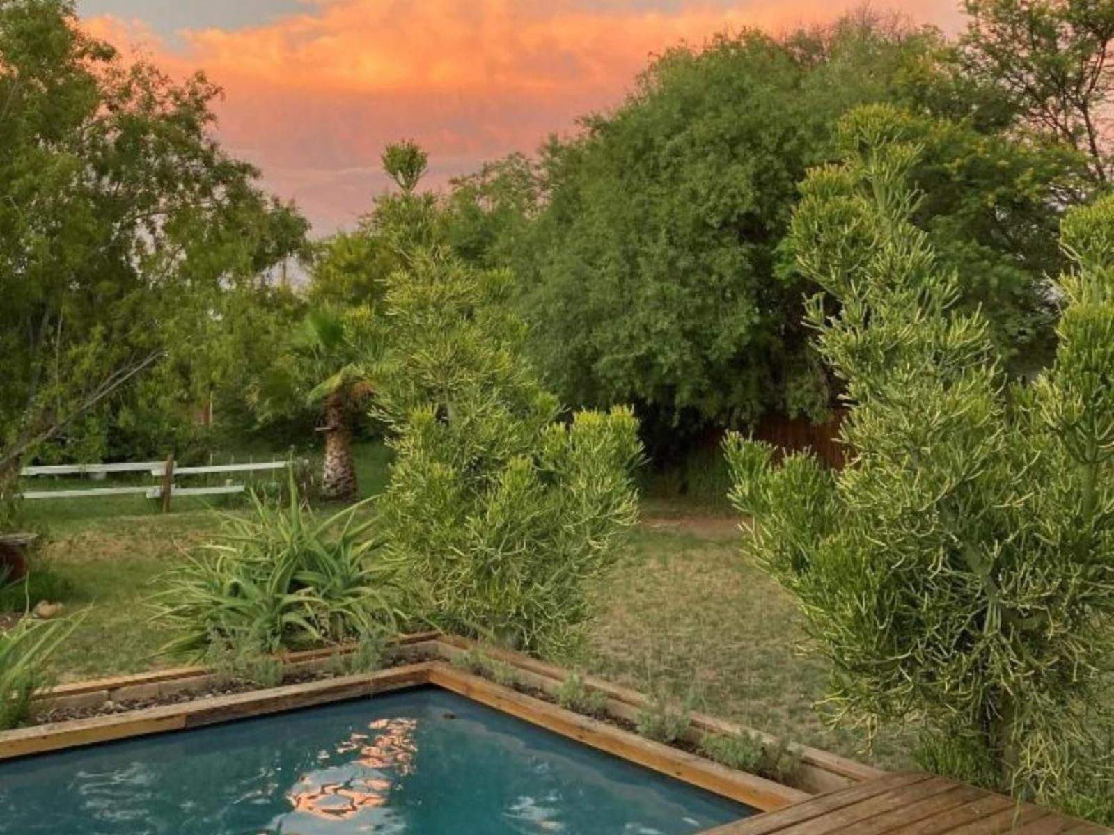 Karoo Feels Prince Albert Western Cape South Africa Garden, Nature, Plant, Swimming Pool
