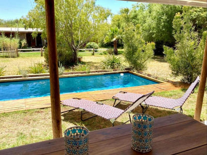 Karoo Feels Prince Albert Western Cape South Africa Garden, Nature, Plant, Swimming Pool