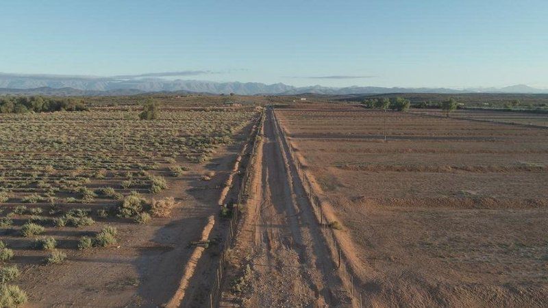 Karoo Living Oudtshoorn Western Cape South Africa Cactus, Plant, Nature, Field, Agriculture, Railroad, Desert, Sand, Leading Lines, Lowland