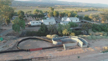 Karoo Living Oudtshoorn Western Cape South Africa Unsaturated, Train, Vehicle, Cactus, Plant, Nature, Swimming Pool