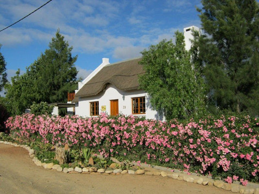 Karoo Cottage Mcgregor Mcgregor Western Cape South Africa Building, Architecture, House, Plant, Nature