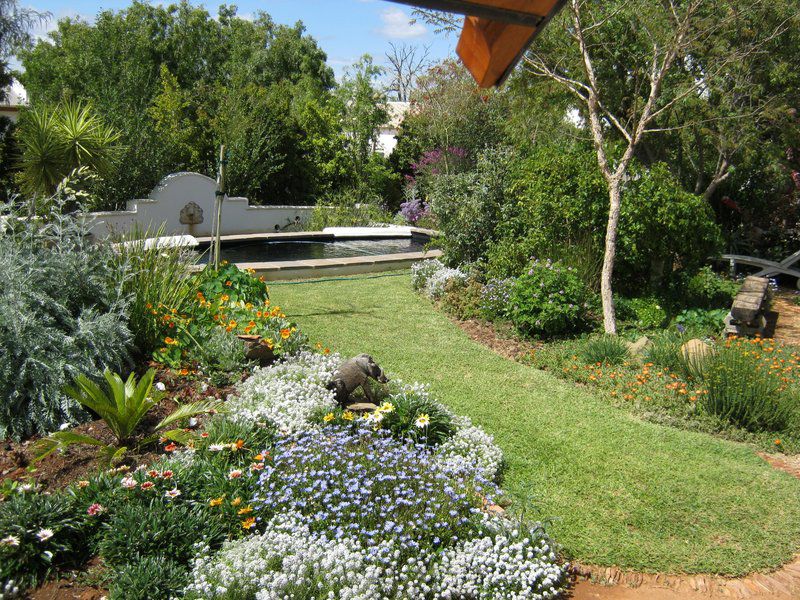 Karoo Cottage Mcgregor Mcgregor Western Cape South Africa Plant, Nature, Garden