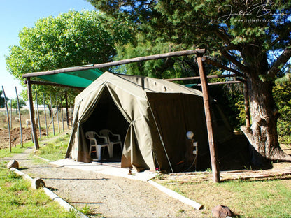 Karoo Gariep Tented Camp Hanover Northern Cape South Africa Tent, Architecture