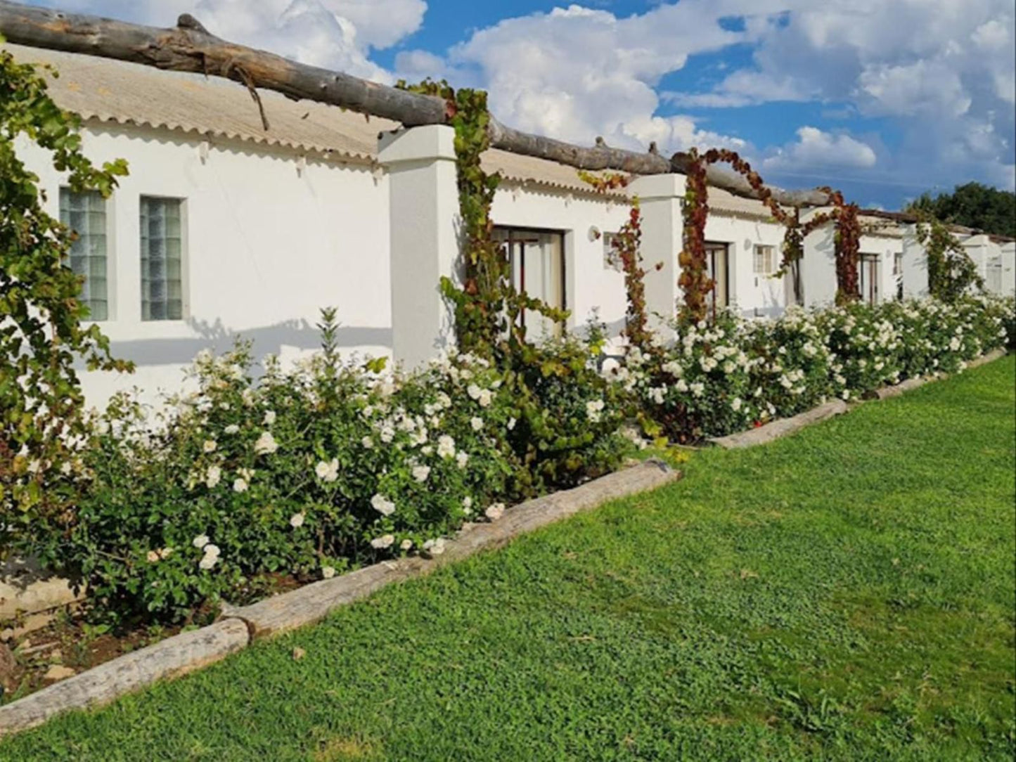 New Holme Nature Lodge Hanover Northern Cape South Africa House, Building, Architecture, Plant, Nature, Garden