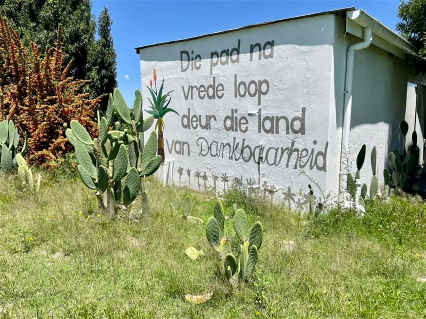 New Holme Nature Lodge Hanover Northern Cape South Africa Cactus, Plant, Nature, Sign, Text, Wall, Architecture