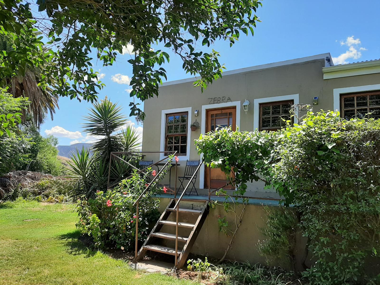 Karoo Life Bandb Calitzdorp Western Cape South Africa House, Building, Architecture, Palm Tree, Plant, Nature, Wood