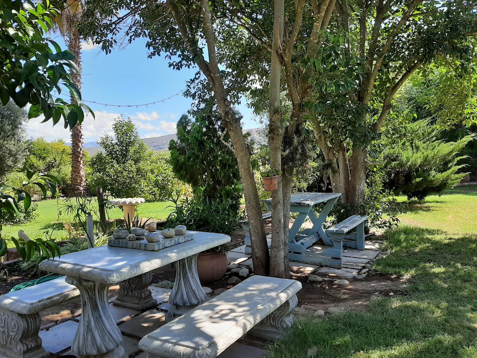 Karoo Life Bandb Calitzdorp Western Cape South Africa Palm Tree, Plant, Nature, Wood, Garden, Living Room