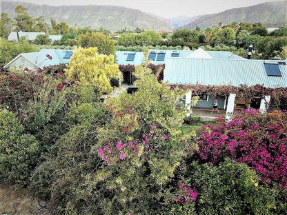 Karoo Lodge B And B Prince Albert Western Cape South Africa Plant, Nature