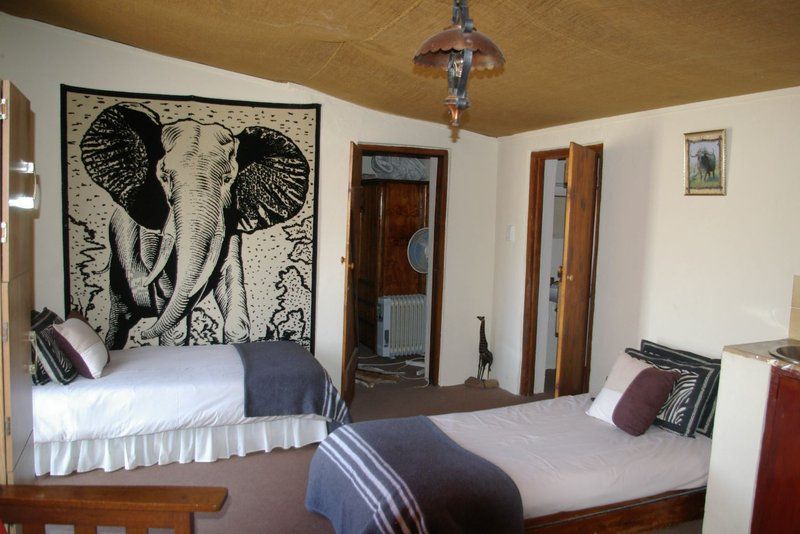 Karoo Pred A Tours Cradock Eastern Cape South Africa Bedroom