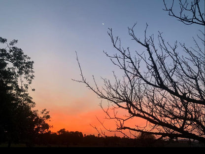 Karoo Soul Oudtshoorn Western Cape South Africa Sky, Nature, Sunset