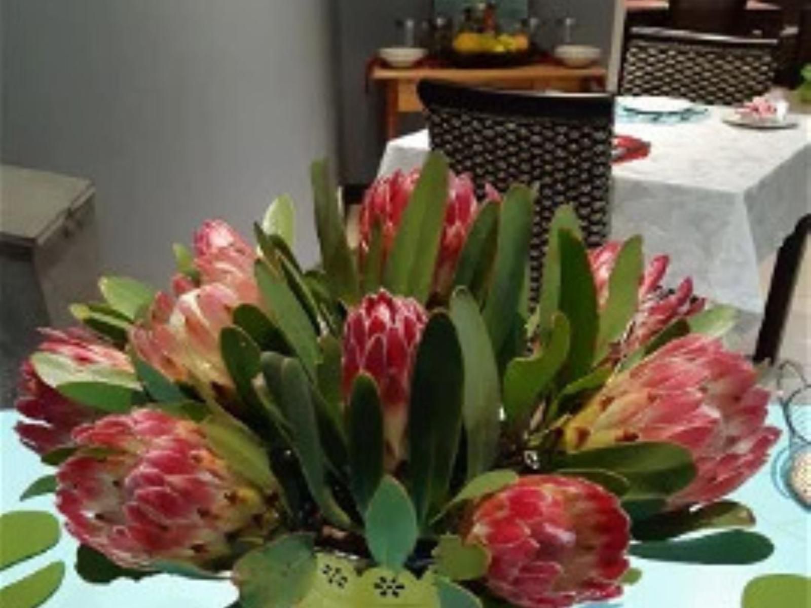 Karoo Sun Guest House Oudtshoorn Western Cape South Africa Bouquet Of Flowers, Flower, Plant, Nature