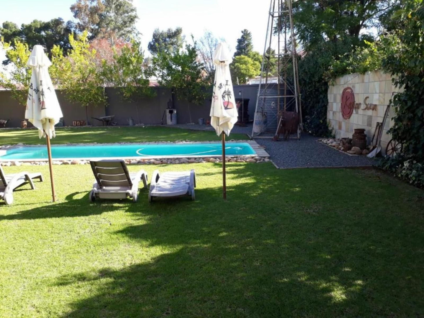 Karoo Sun Guest House Oudtshoorn Western Cape South Africa Palm Tree, Plant, Nature, Wood, Garden, Swimming Pool