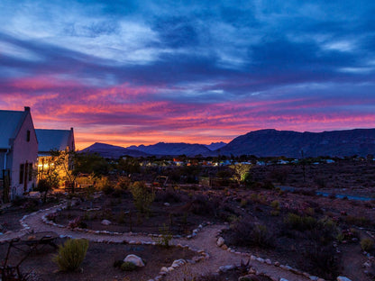 Karoo View Cottages Prince Albert Western Cape South Africa Cactus, Plant, Nature, Sunset, Sky