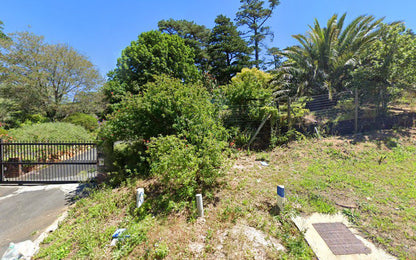 Karrad Guest House Hout Bay Cape Town Western Cape South Africa Plant, Nature, Tree, Wood, Garden