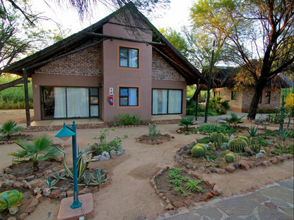 Kashana Namibia, House, Building, Architecture, Plant, Nature, Garden