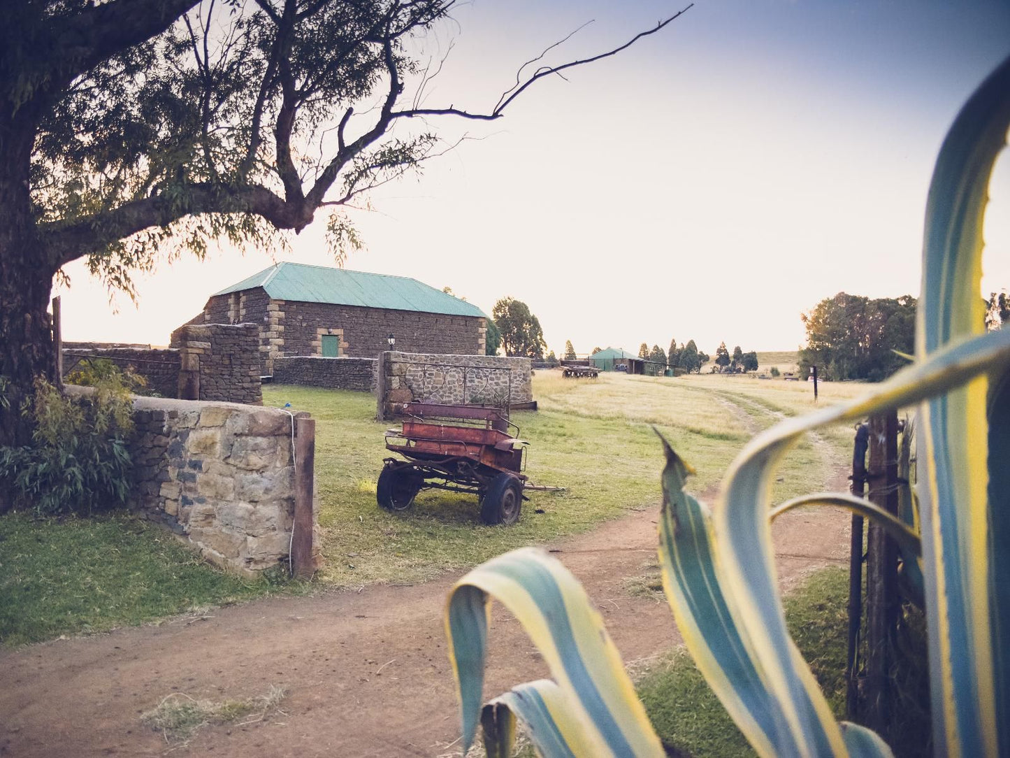 Kasteelkop Guestfarm, Campsite