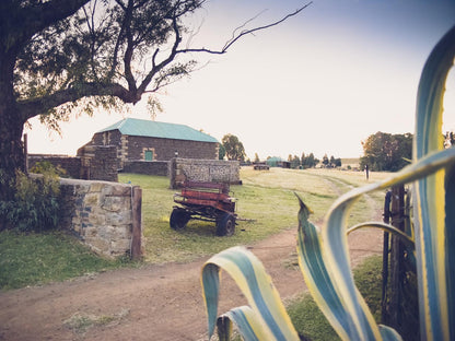 Kasteelkop Guest Farm Tweeling Free State South Africa 