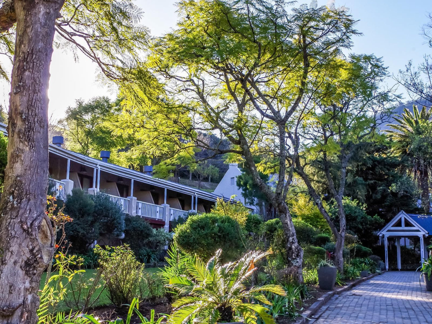 Katberg Mountain Resort And Hotel Katberg Eastern Cape South Africa House, Building, Architecture, Plant, Nature, Garden