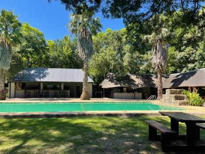 Katberg Mountain Resort And Hotel Katberg Eastern Cape South Africa Palm Tree, Plant, Nature, Wood, Swimming Pool