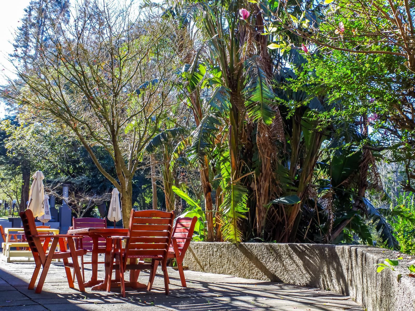 Katberg Mountain Resort And Hotel Katberg Eastern Cape South Africa Palm Tree, Plant, Nature, Wood, Garden