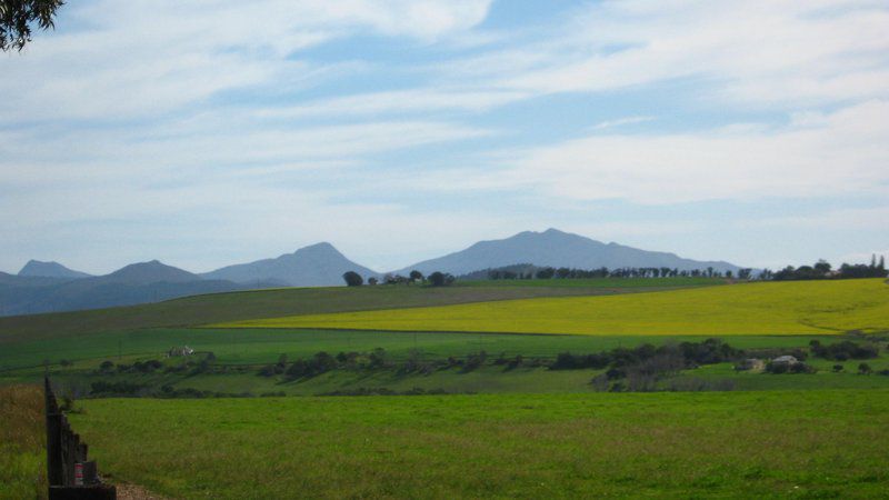 Kate S Country Kitchen Accommodation Bredasdorp Western Cape South Africa Complementary Colors, Field, Nature, Agriculture, Mountain, Lowland