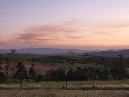 Katikati Eco Lodge, Field, Nature, Agriculture, Lowland