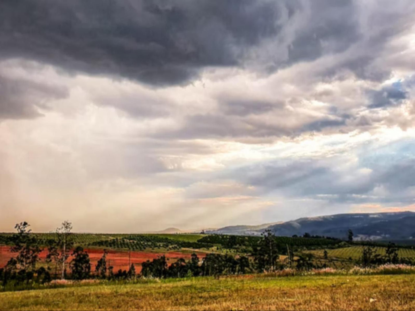 Katikati Eco Lodge, Nature