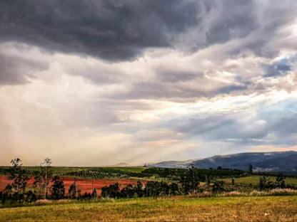 Katikati Eco Lodge, Nature