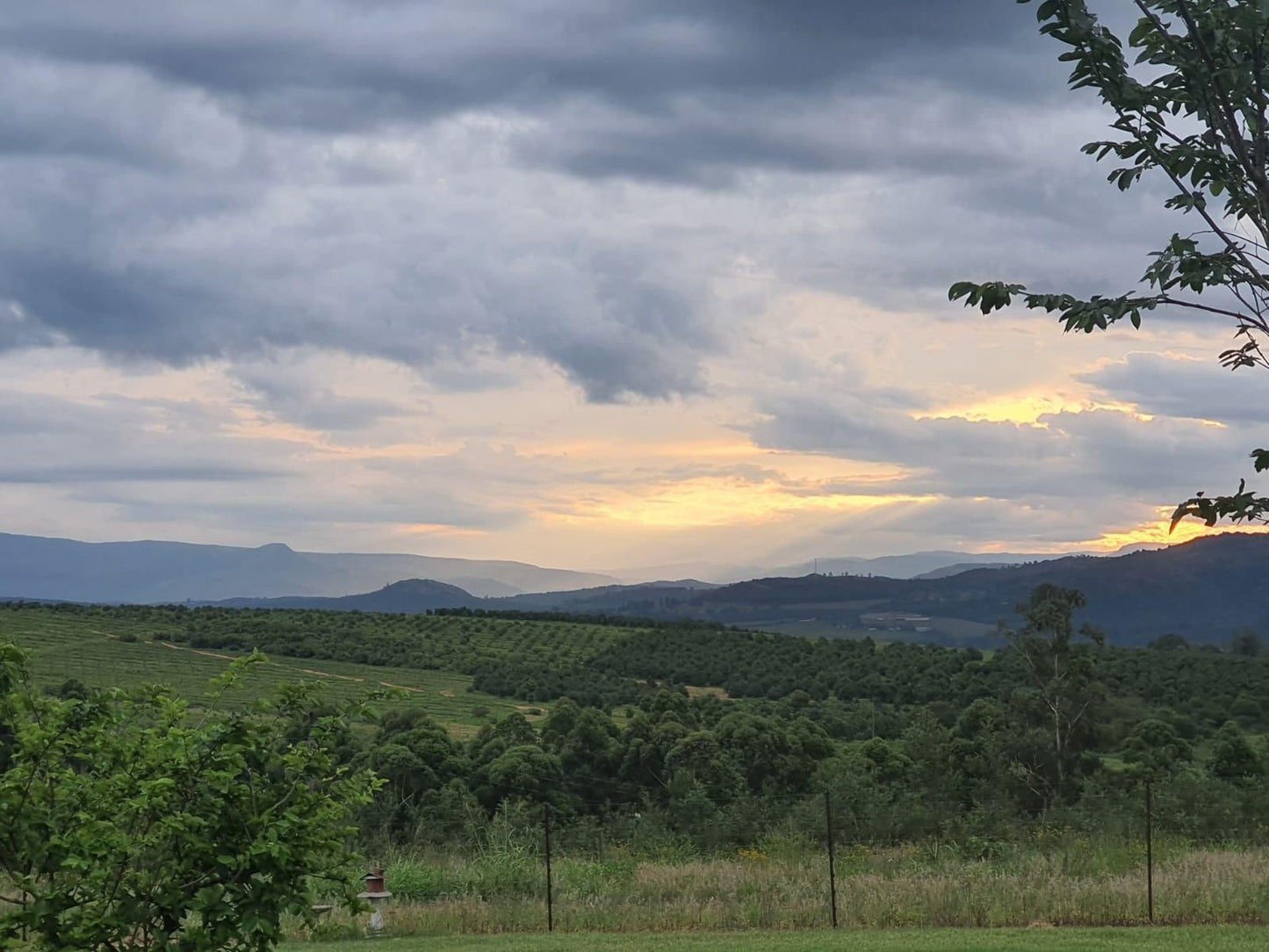 Katikati Eco Lodge, Sky, Nature