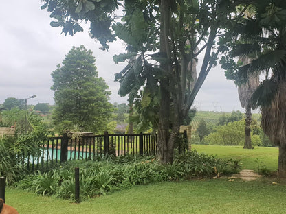 Katikati Eco Lodge, Palm Tree, Plant, Nature, Wood, Tree