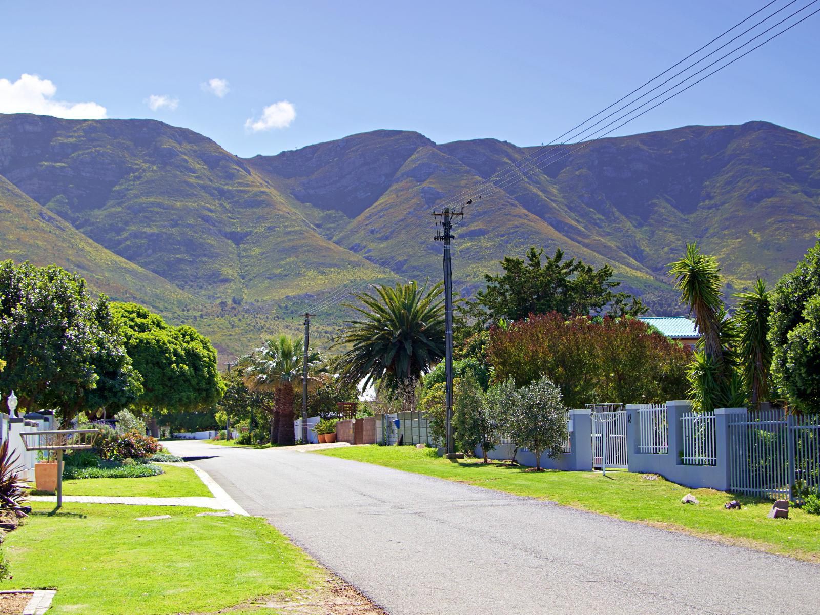 Katinka Self Catering Vermont Za Hermanus Western Cape South Africa Complementary Colors, House, Building, Architecture, Palm Tree, Plant, Nature, Wood