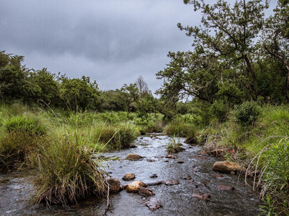 Katrinasrust Country Estate Machadodorp Mpumalanga South Africa Complementary Colors, Forest, Nature, Plant, Tree, Wood, River, Waters