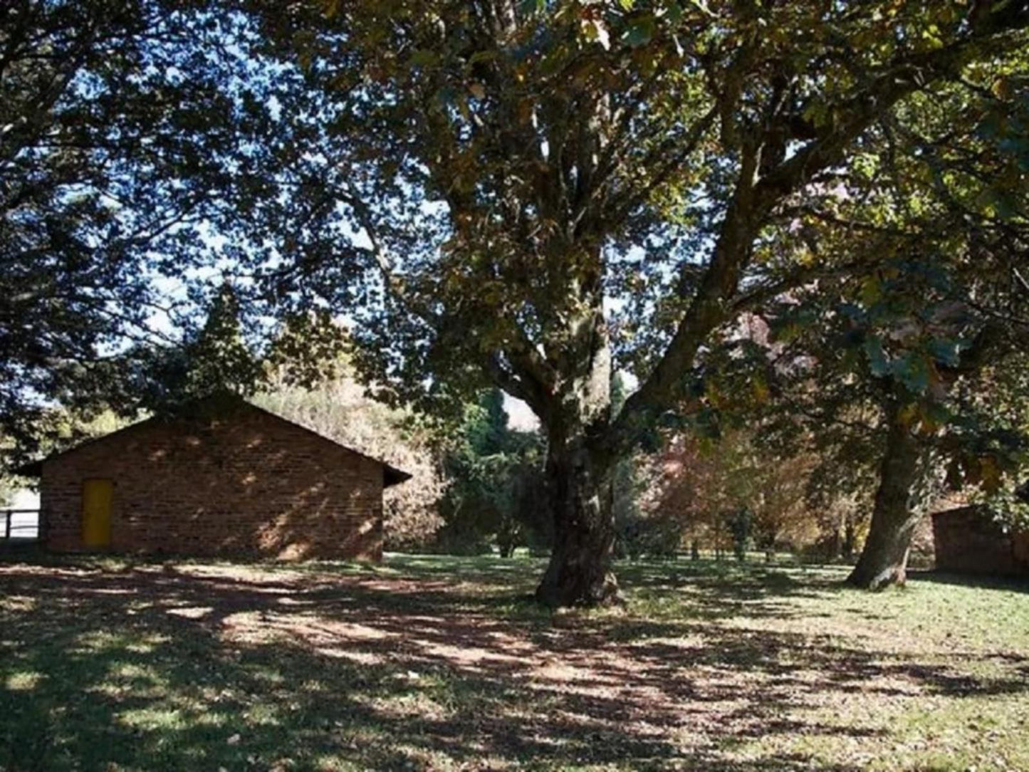 Katrinasrust Country Estate Machadodorp Mpumalanga South Africa Ruin, Architecture, Tree, Plant, Nature, Wood