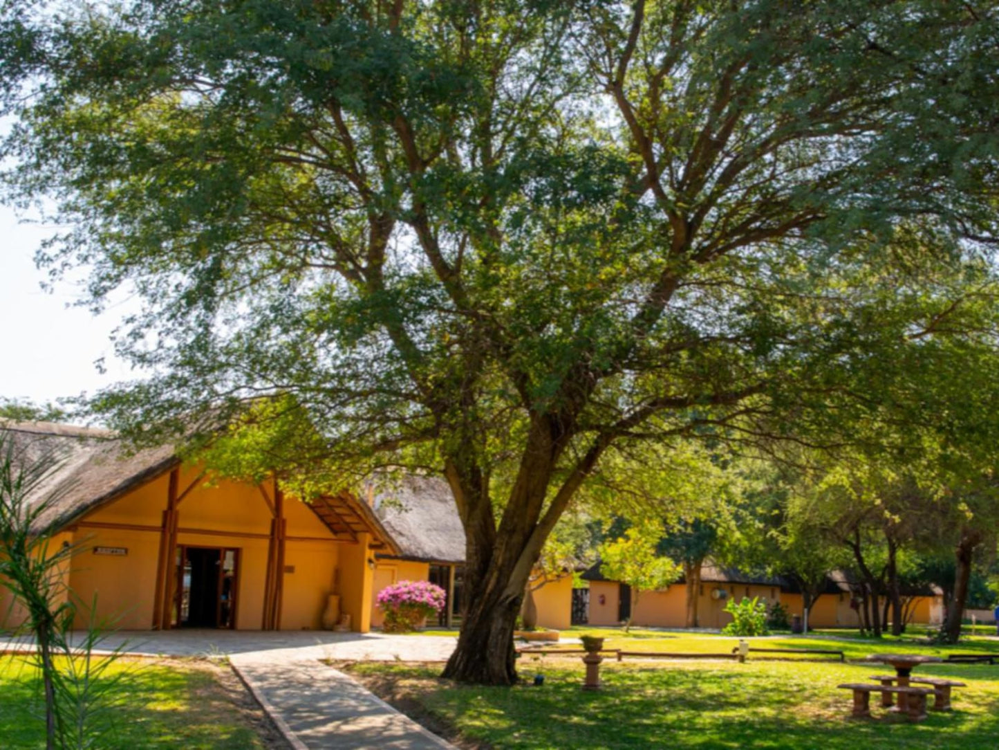 Kayova River Lodge, Plant, Nature